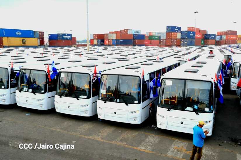 BUSES